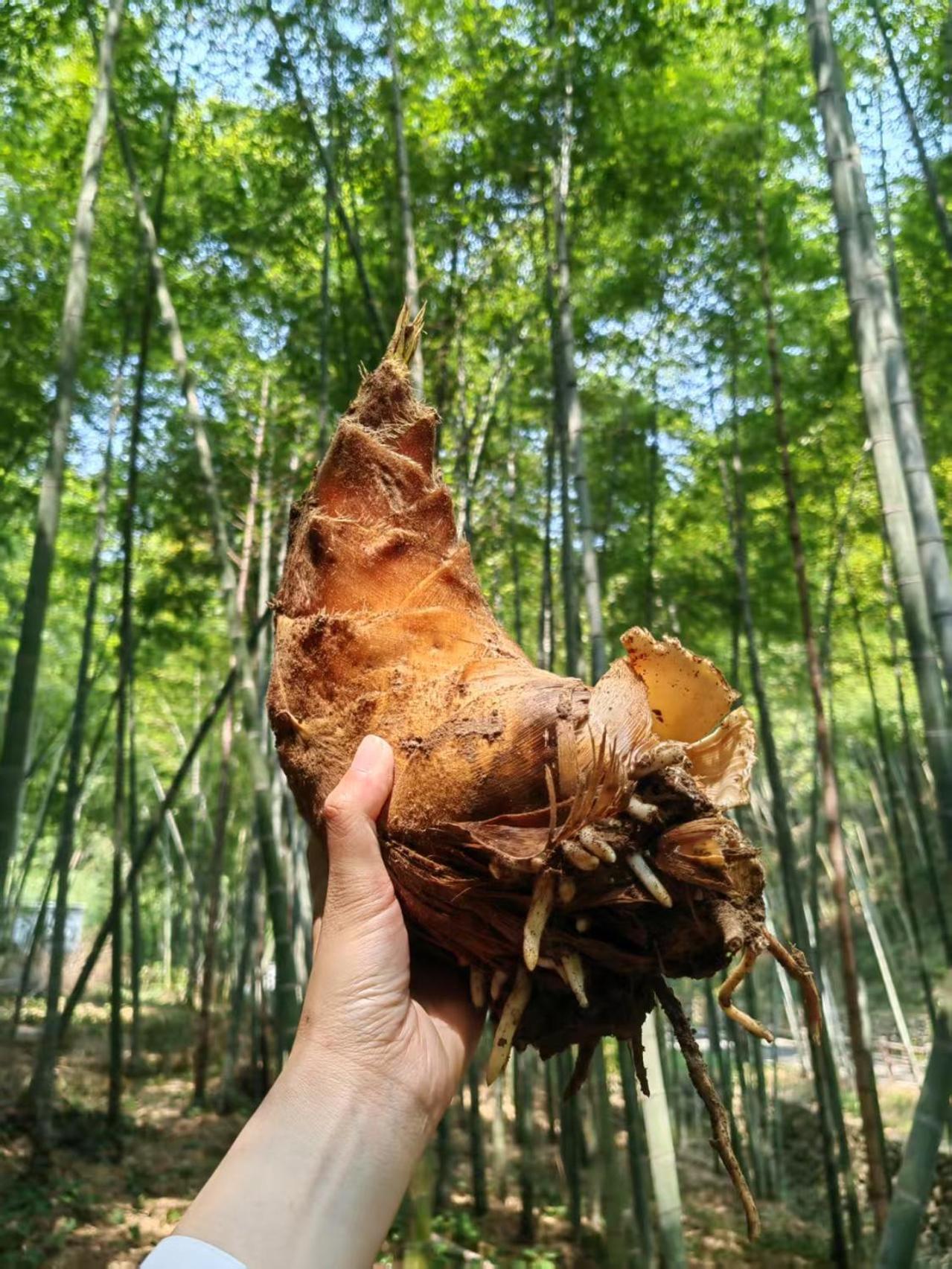 Ahn Lan Ninghai Exteriér fotografie
